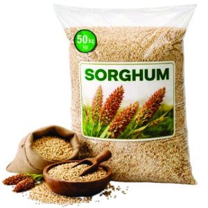 sorghum new